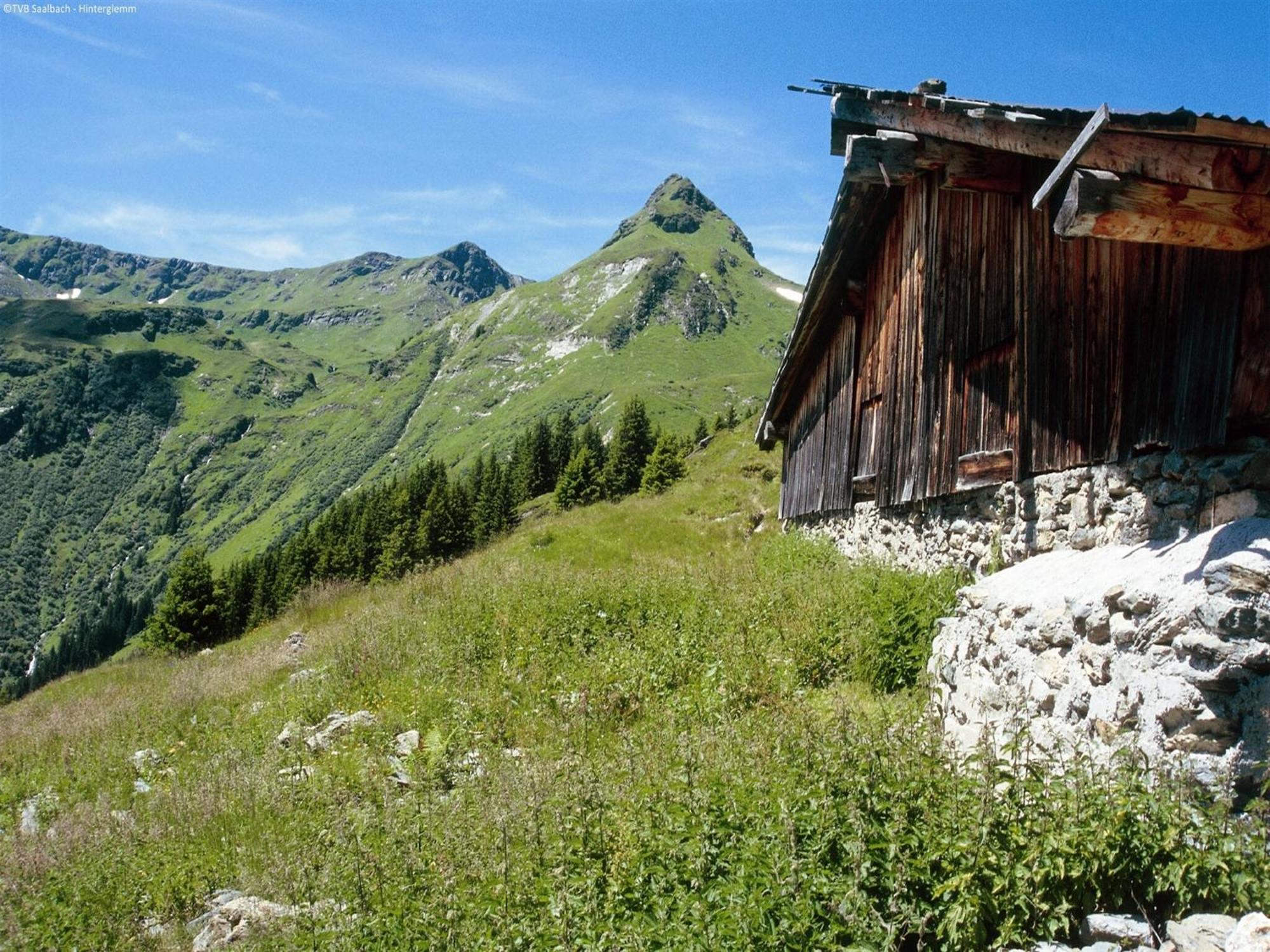 Modern Chalet with Sauna near Ski Area in Salzburg Saalbach-Hinterglemm Exterior foto